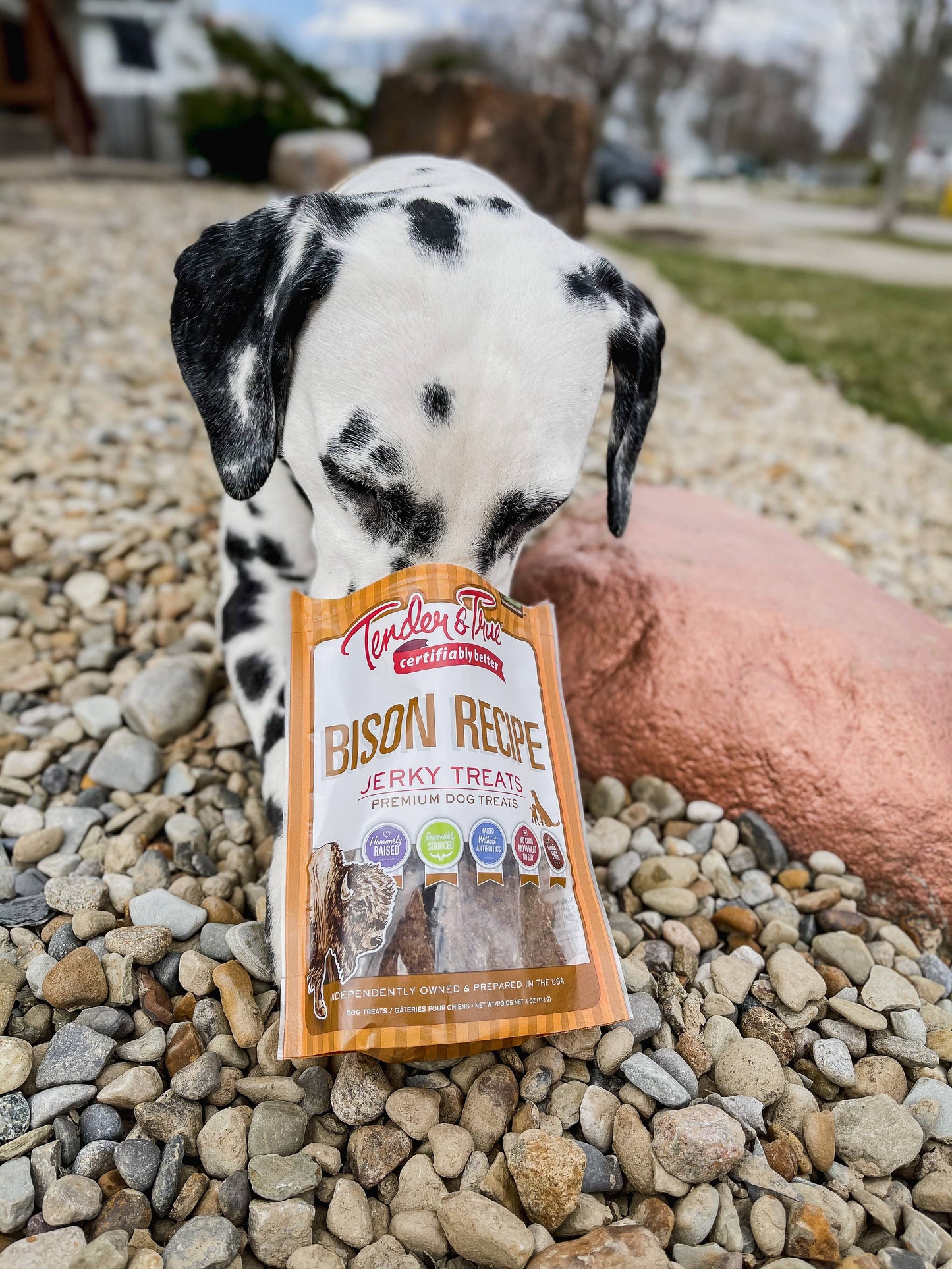 Bison Recipe Jerky