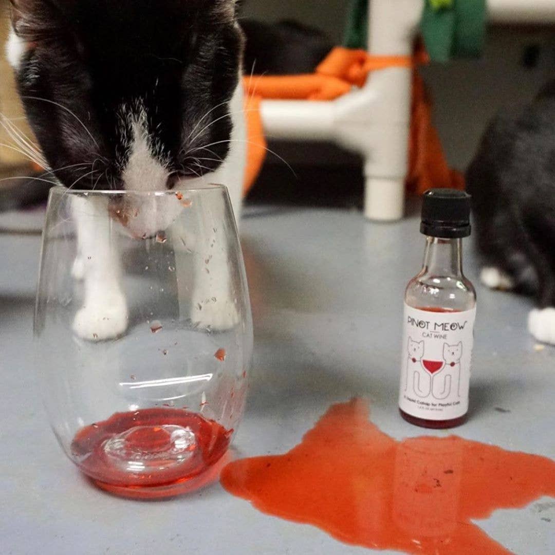 Pinot Meow Cat Wine