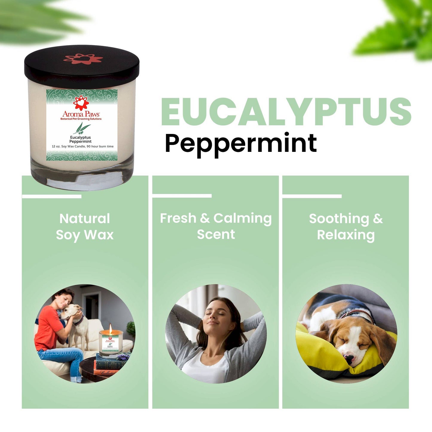 12 Oz Candle Eucalyptus Peppermint