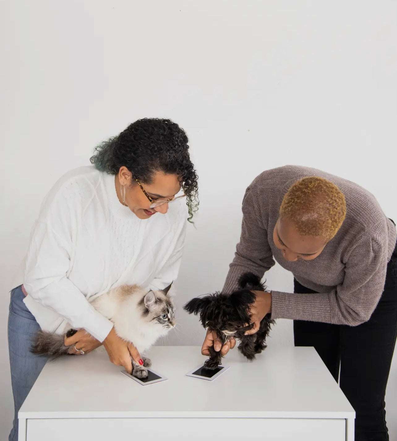 Pet Pawprint Clean-Touch Ink Pad