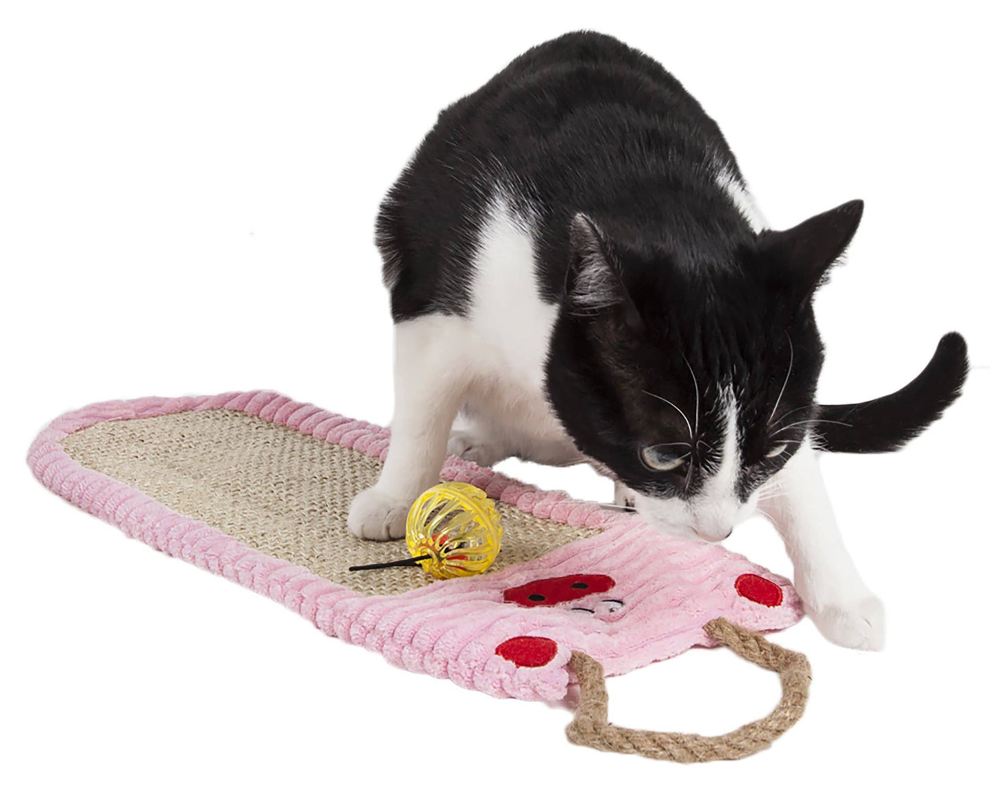 🐱💚Eco-Natural Cat Scratcher