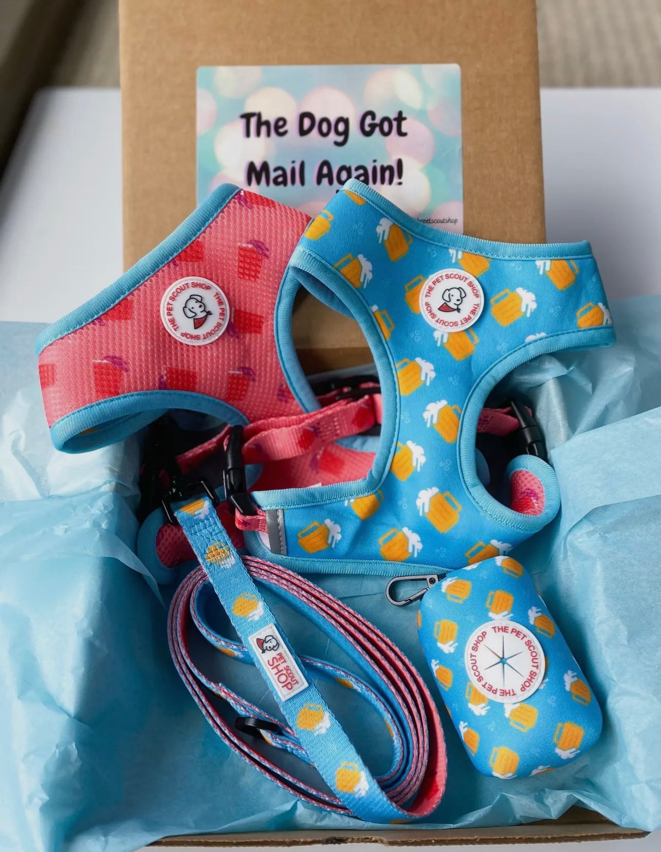 Summer Beer Reversible Harness