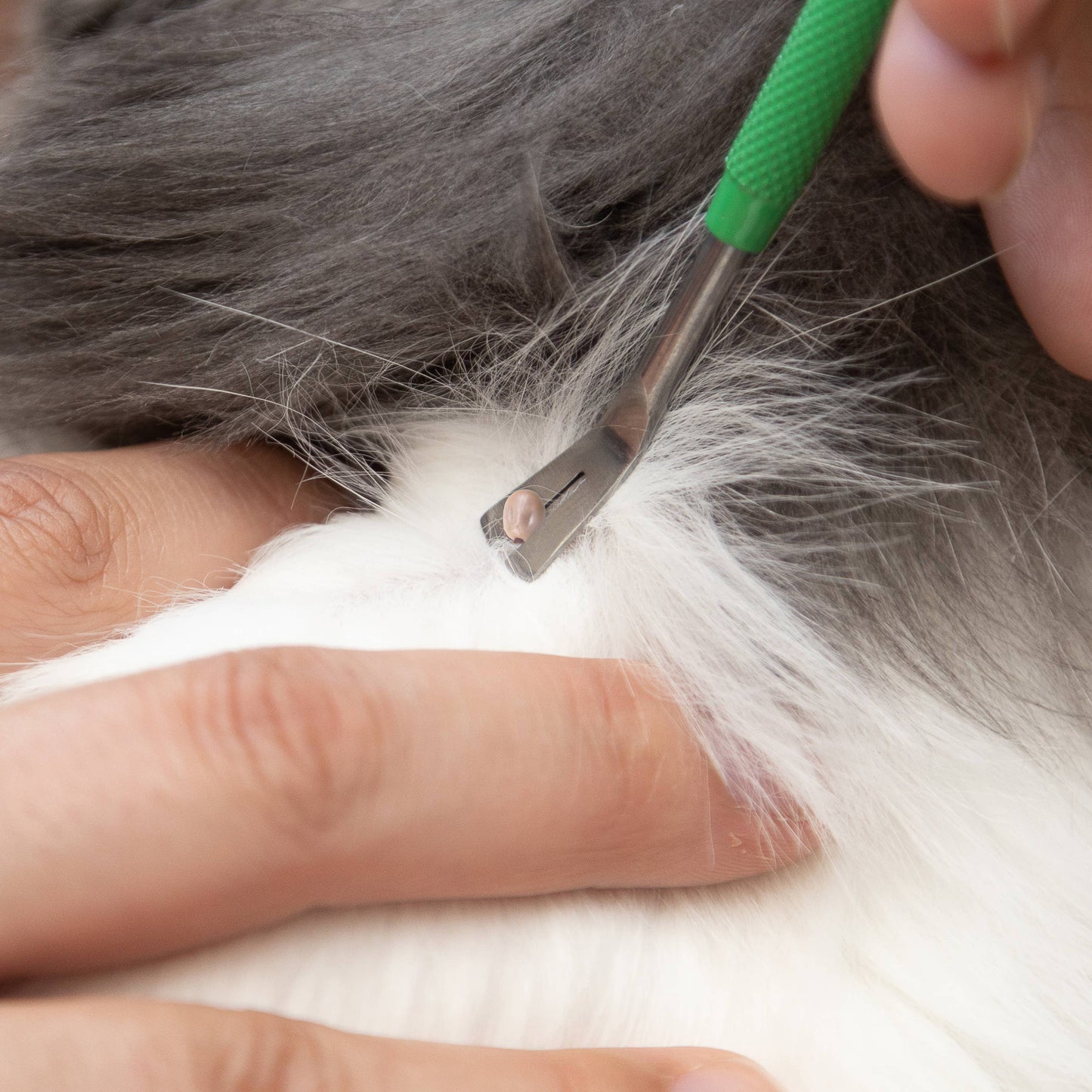 🪲 TickCheck Premium Tick Remover Kit | Safe, Easy Tick Removal for Pets & Humans 🐾