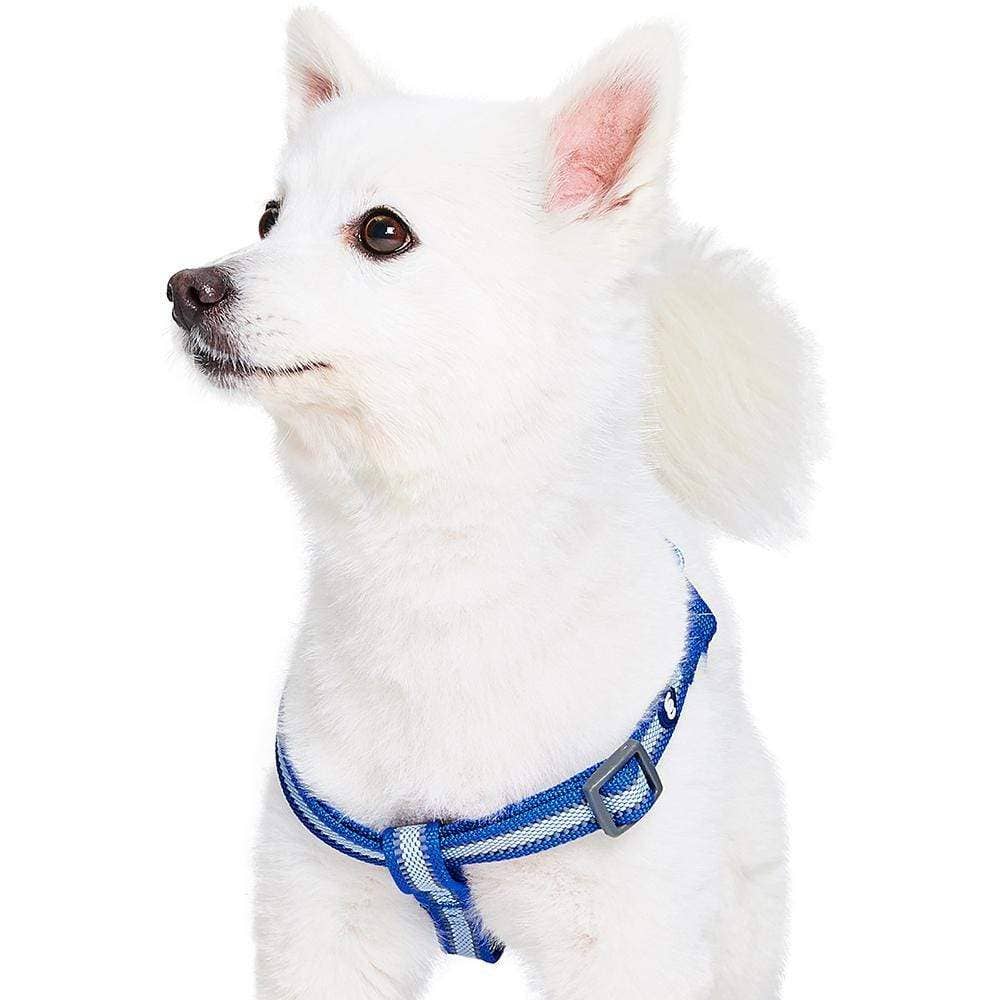 🌙🐾Better Basics Reflective Dog Harness
