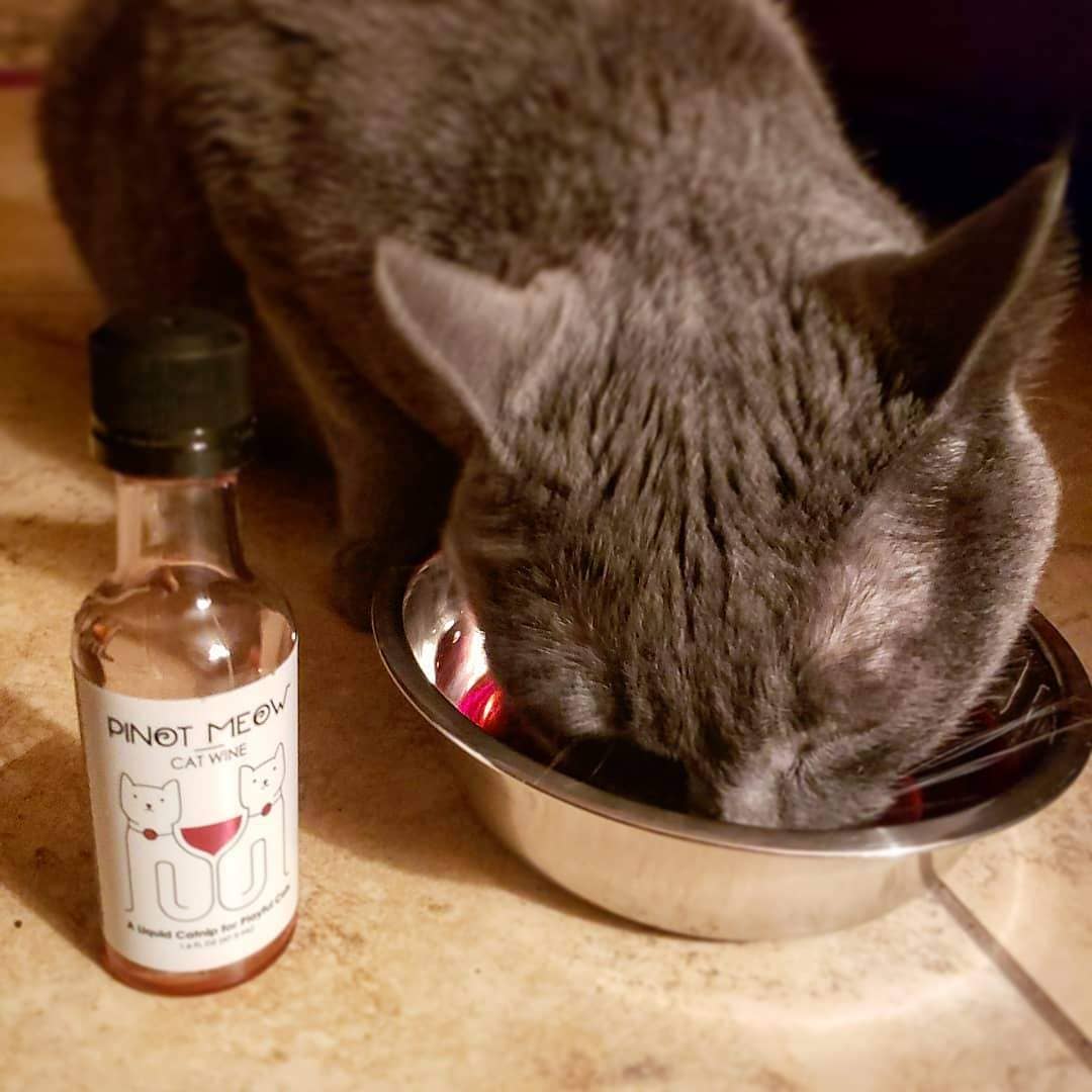Pinot Meow Cat Wine