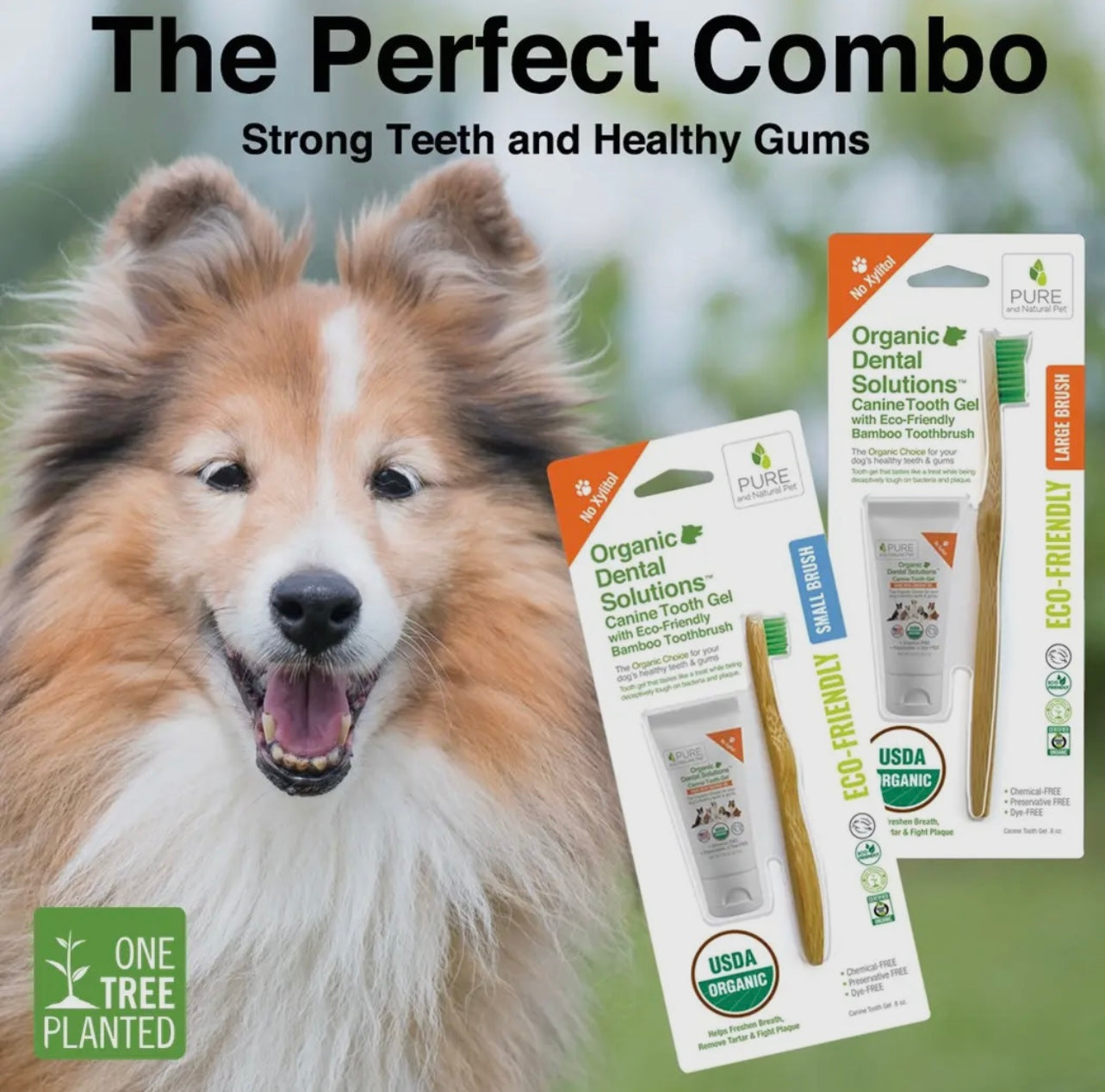 Tooth Gel and Bamboo Toothbrush For Small Dogs - Organic