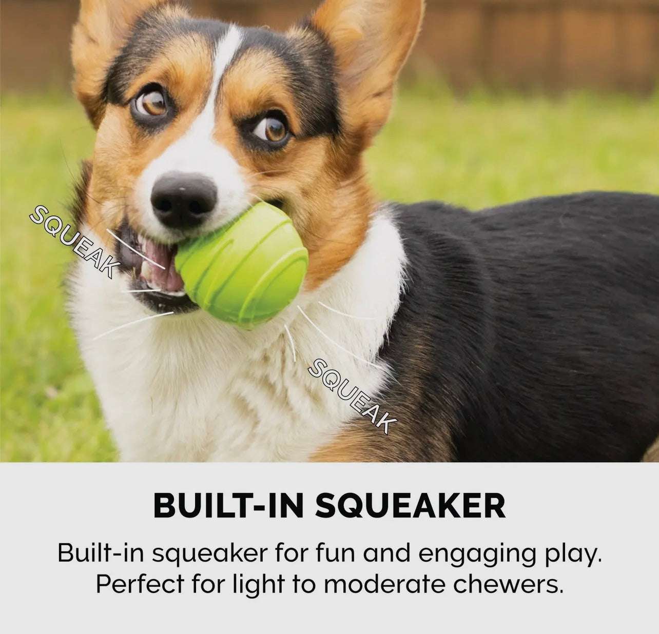 Fetch N Fun Ball w/ Squeaker (3 pk)