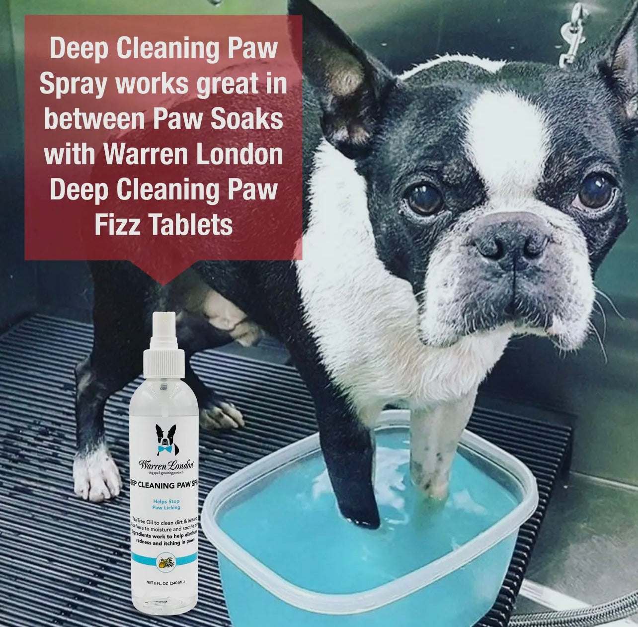 ๐พโจ Deep Cleaning Paw Spray โ Soothe, Clean & Protect Your Dog's Paws โจ๐ถ