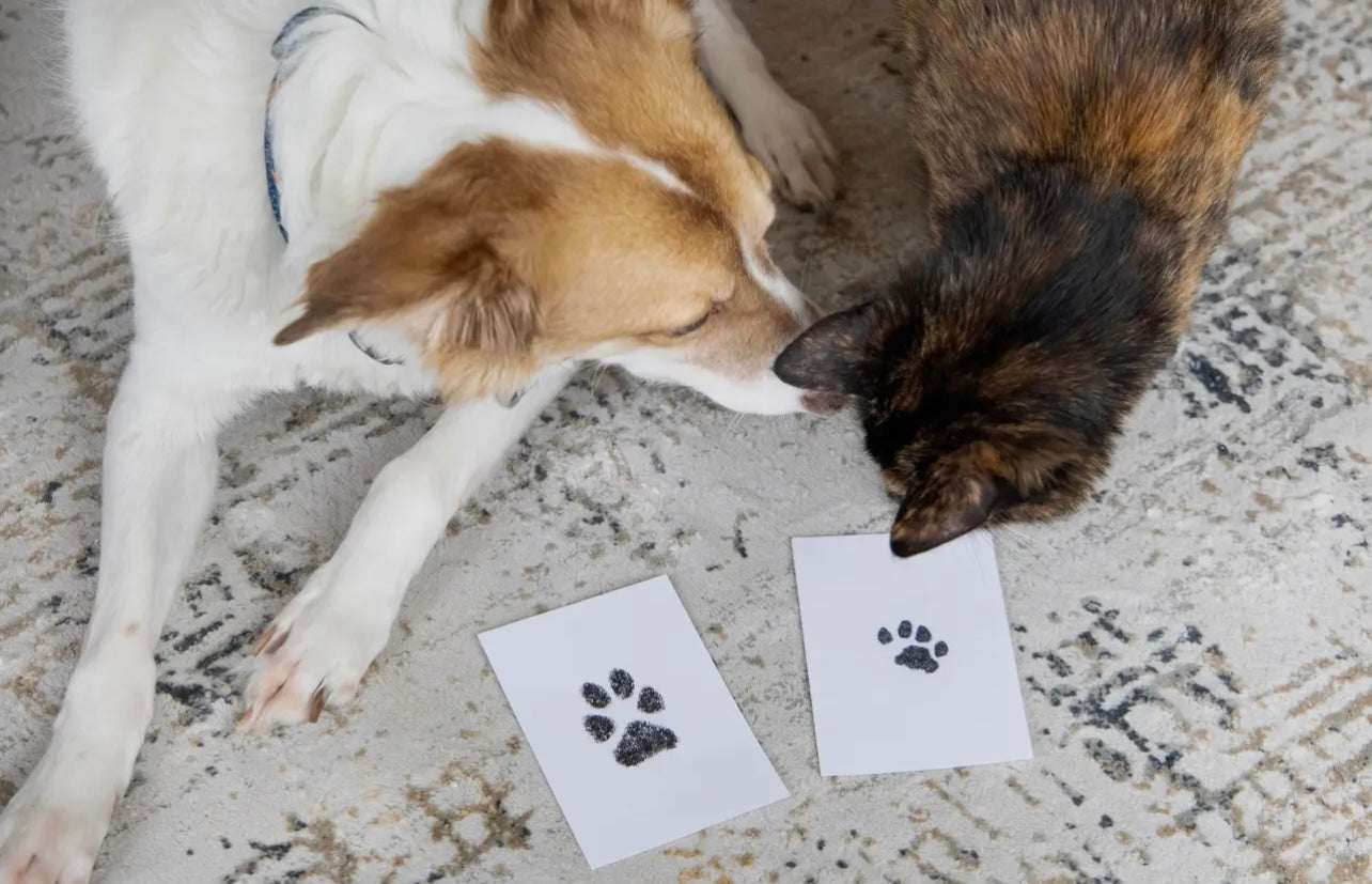 Pet Pawprint Clean-Touch Ink Pad