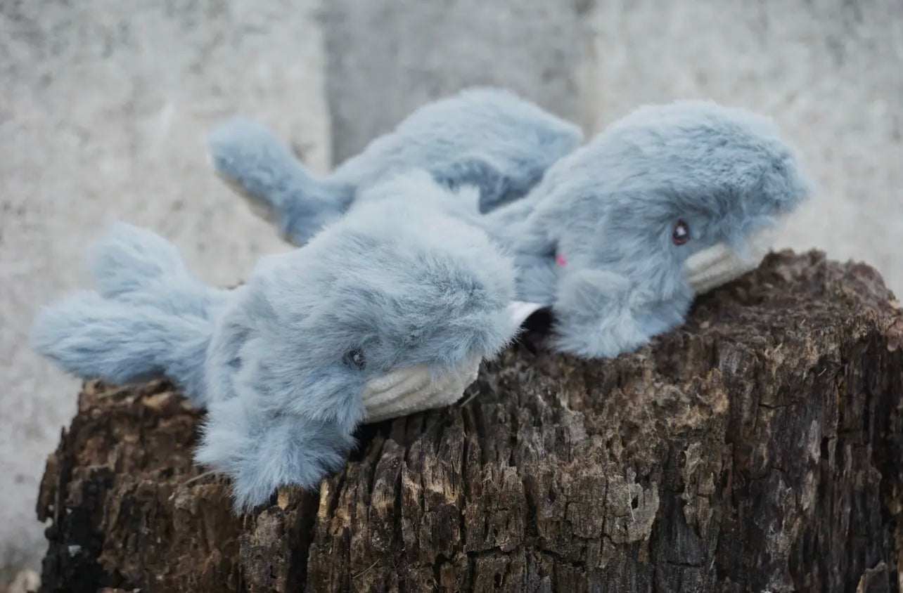 🐳🐾 Mobie Whale Small Plush Toy