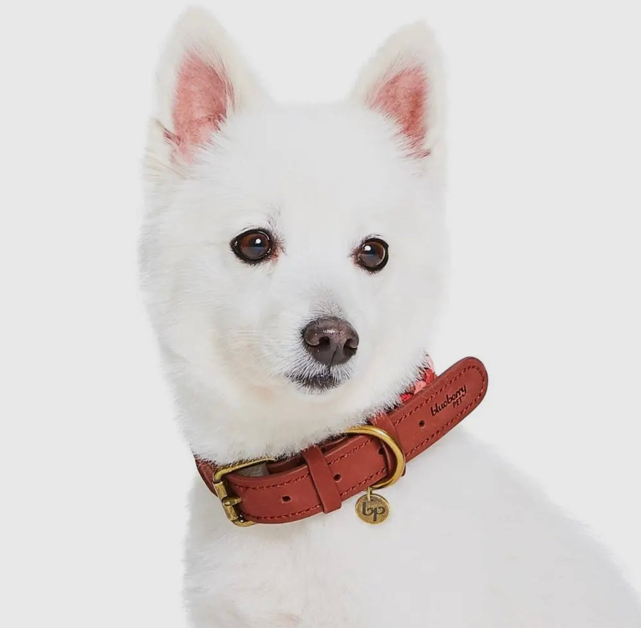 Braided Full Grain Leather Dog Collar