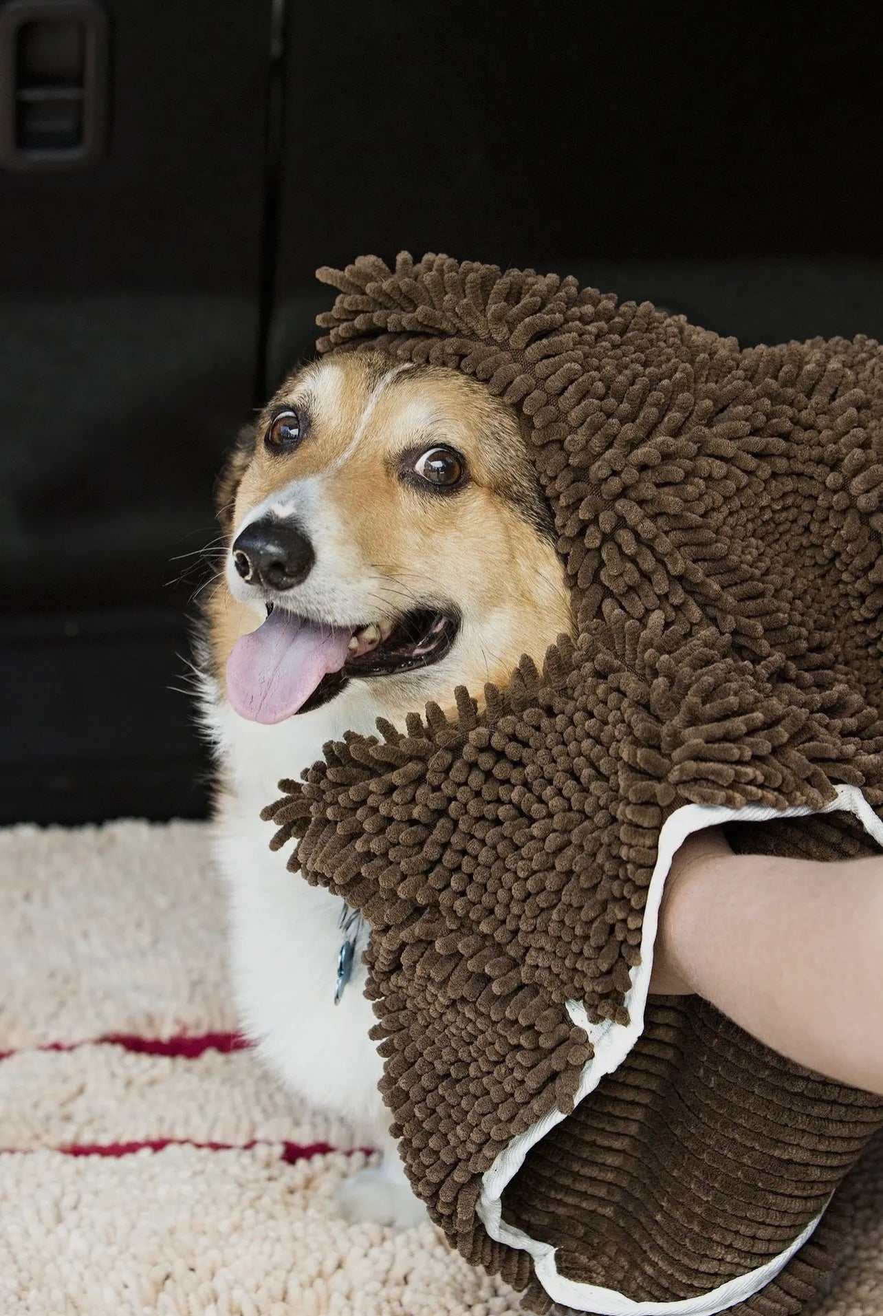 Soggy Doggy Super Shammy