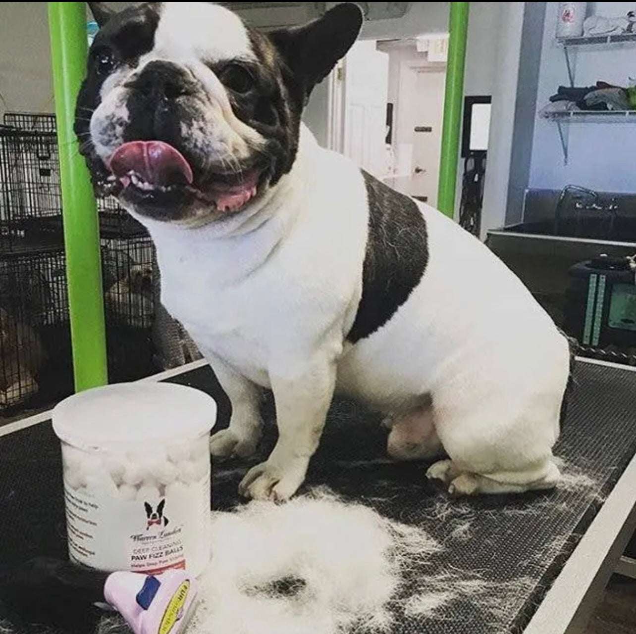 πΎβ¨ Deep Cleaning Paw Fizz Soak β Spa Therapy for Happy, Healthy Paws β¨πΎ