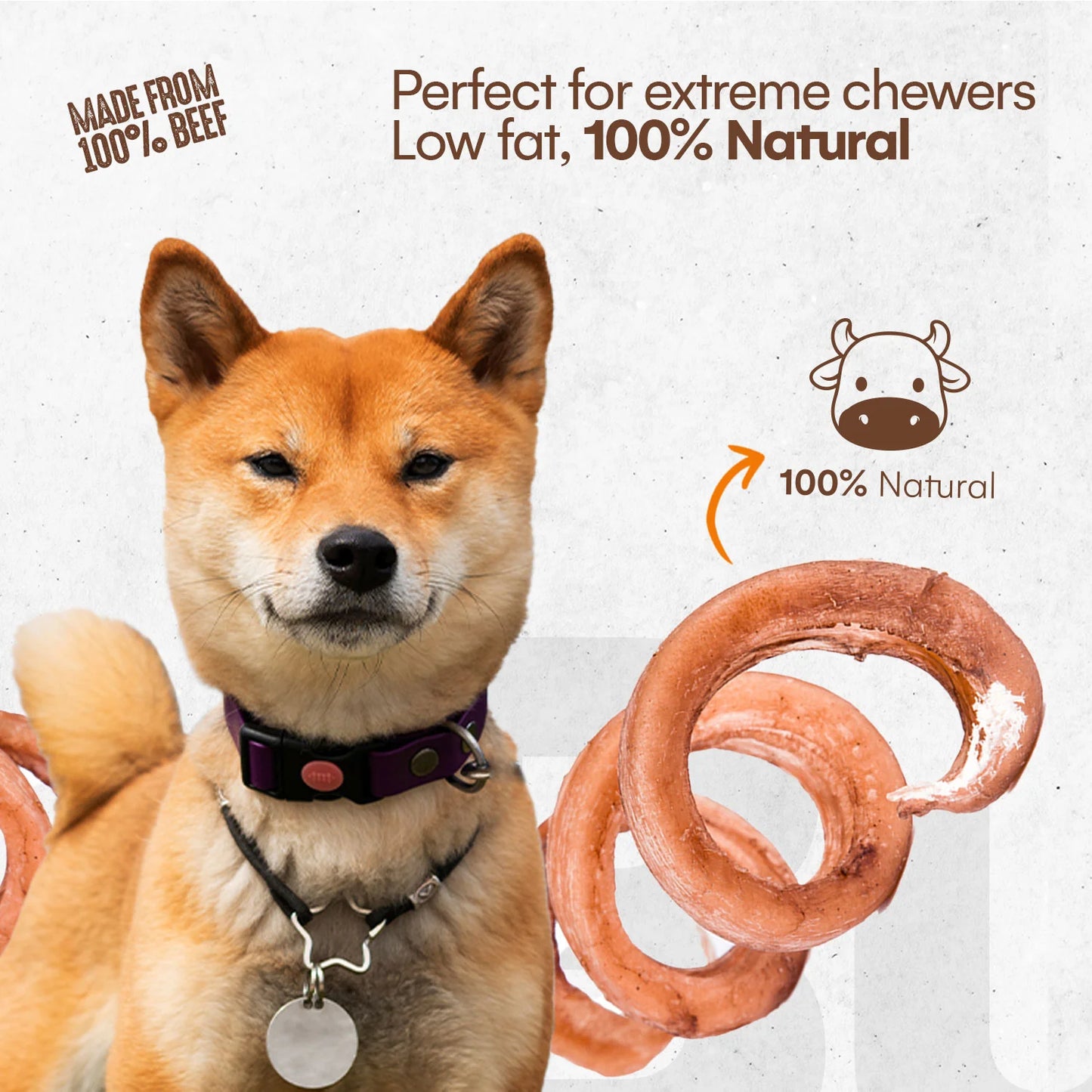 π¦΄π Bully Spring Chews β 6β8" Natural Low-Odor Beef Pizzle Dog Chews