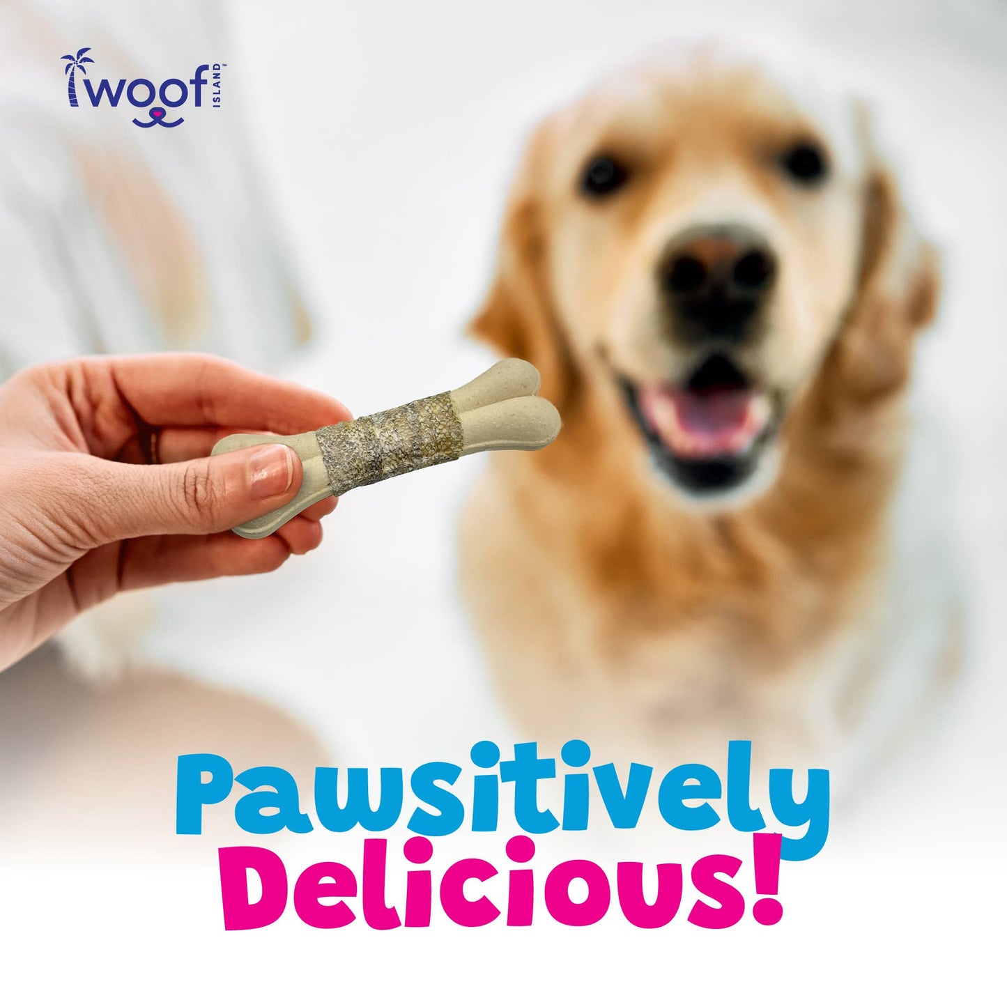 🥥🥭🐟 Woof Island™ Coconut Bones with Real Mango & Fish Skin – Rawhide-Free Natural Dog Chews