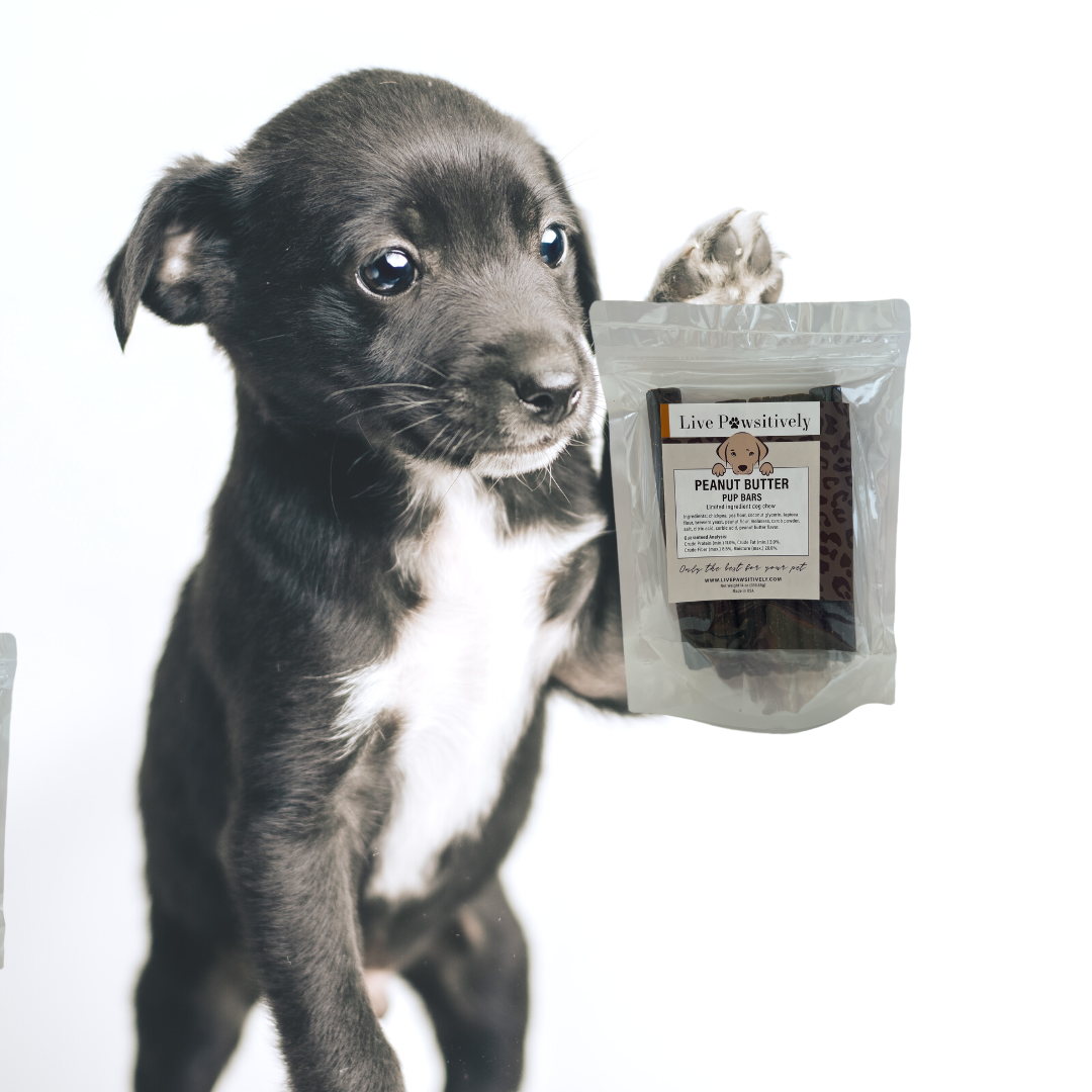 Peanut Butter Pup Bars