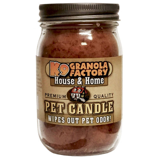 Stinky Dog Pet Odor Eliminator Candle, 16-oz