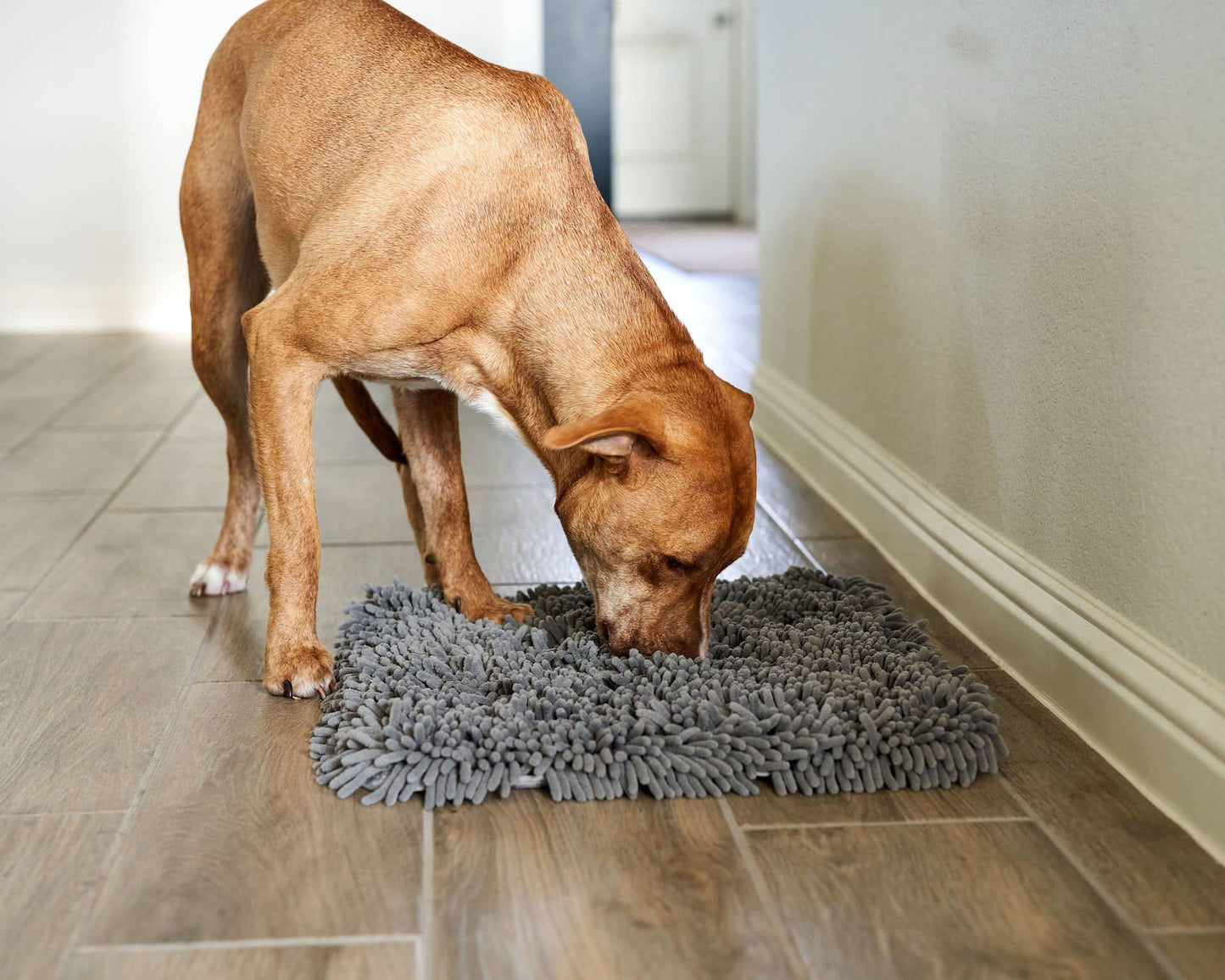 Forager® Mat SoftSnout™