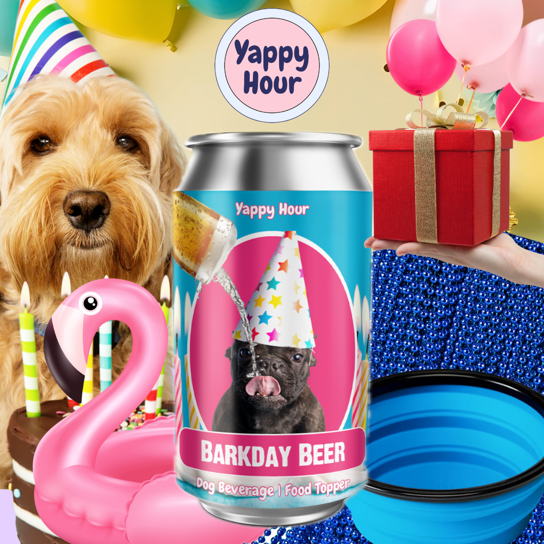 🍉🐶Barkday Beer | Watermelon