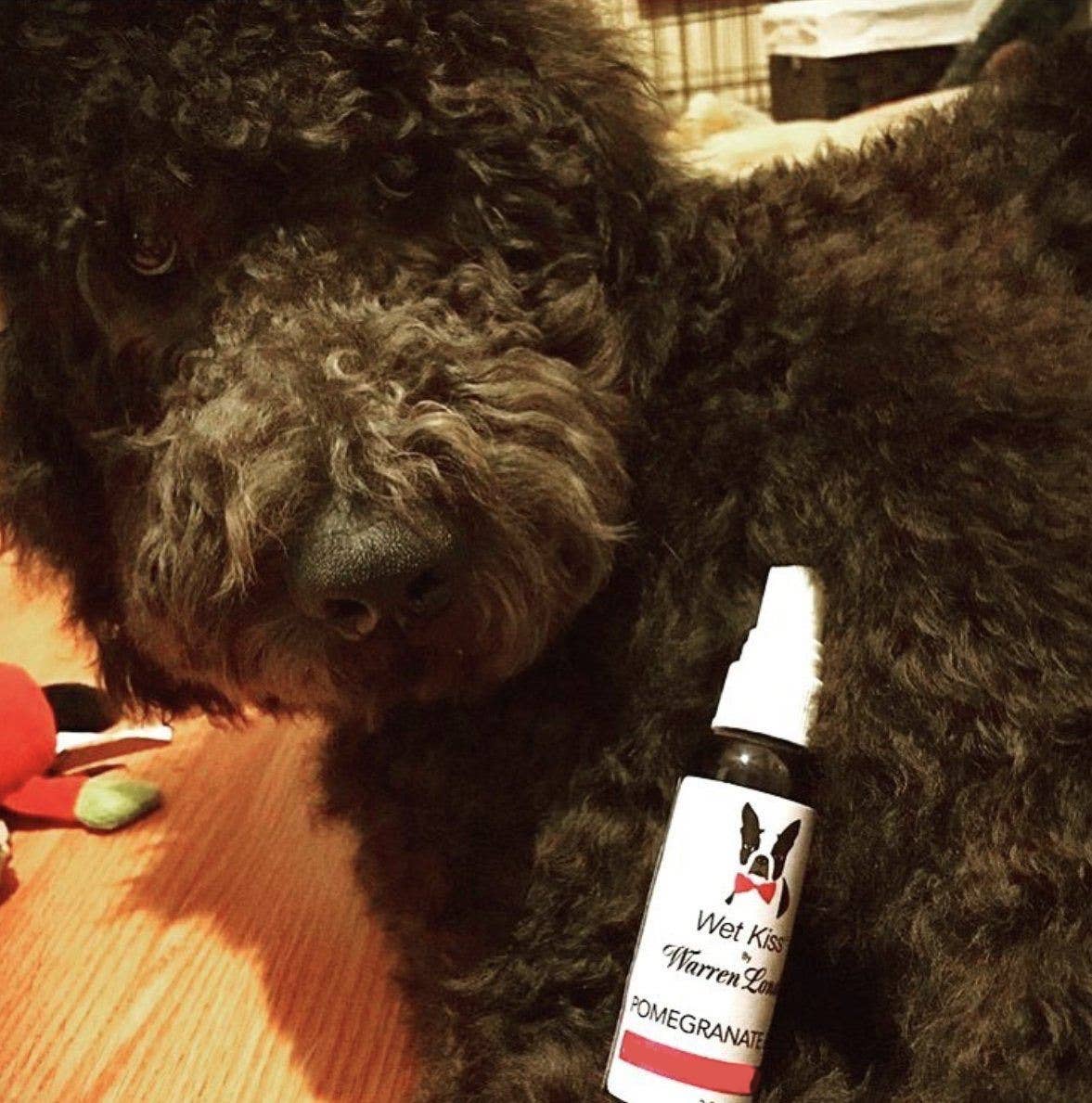 Wet Kiss Dog Cologne - 2 oz