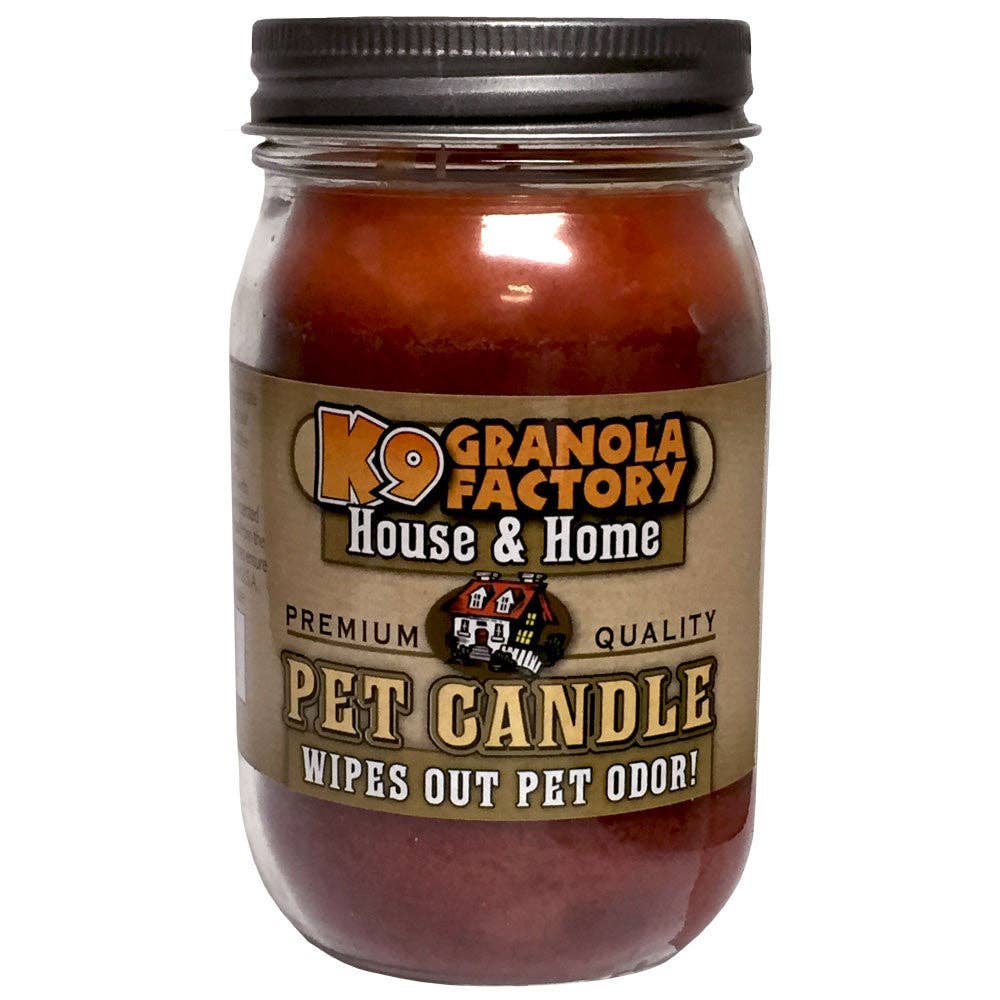 šš Autumn Leaf ā Pet Odor Eliminator Candle