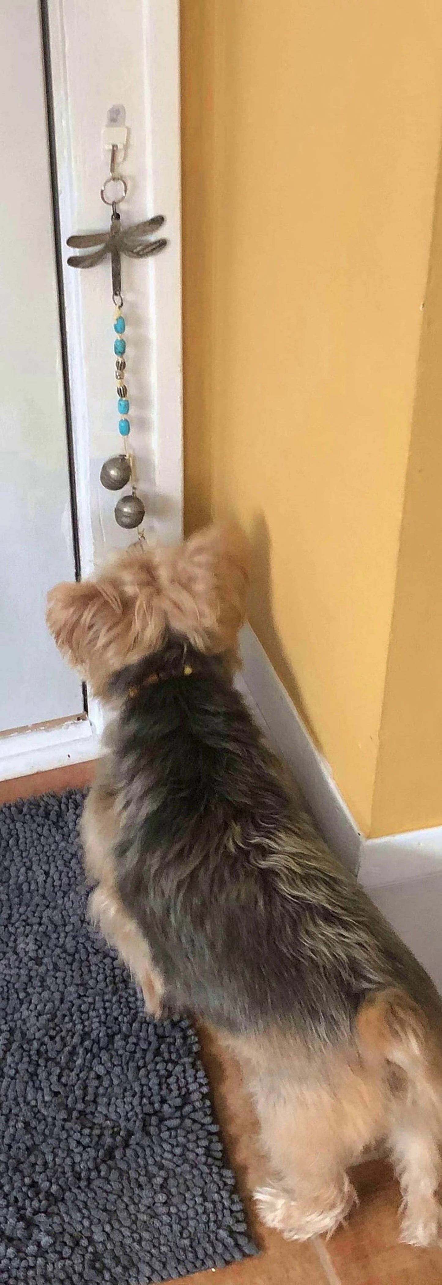 Doggie Door Bells