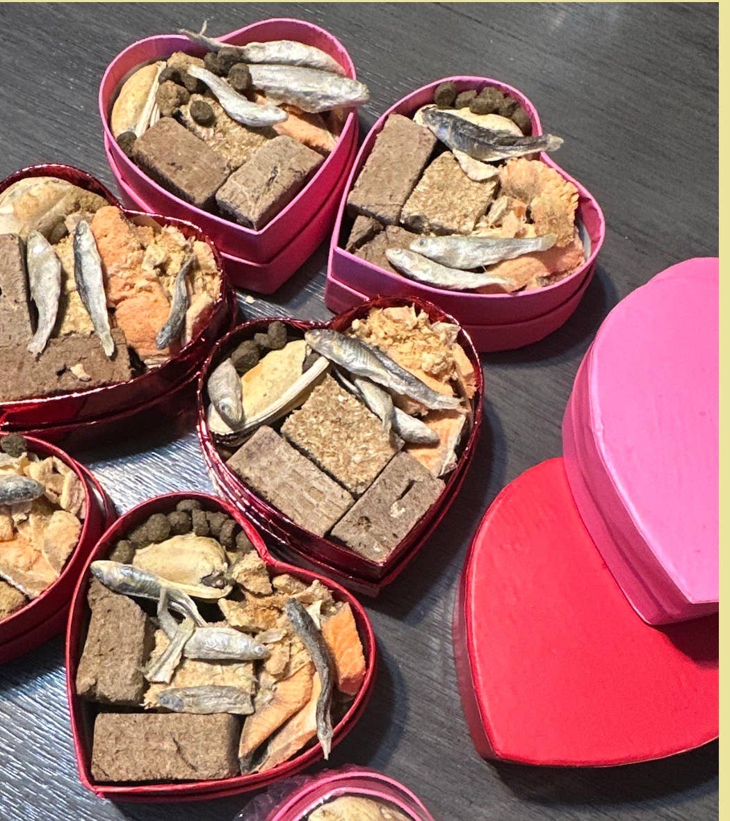 ππ± Cat Charcuterie Hearts β The Purr-fect Valentine's Treat Box π±π