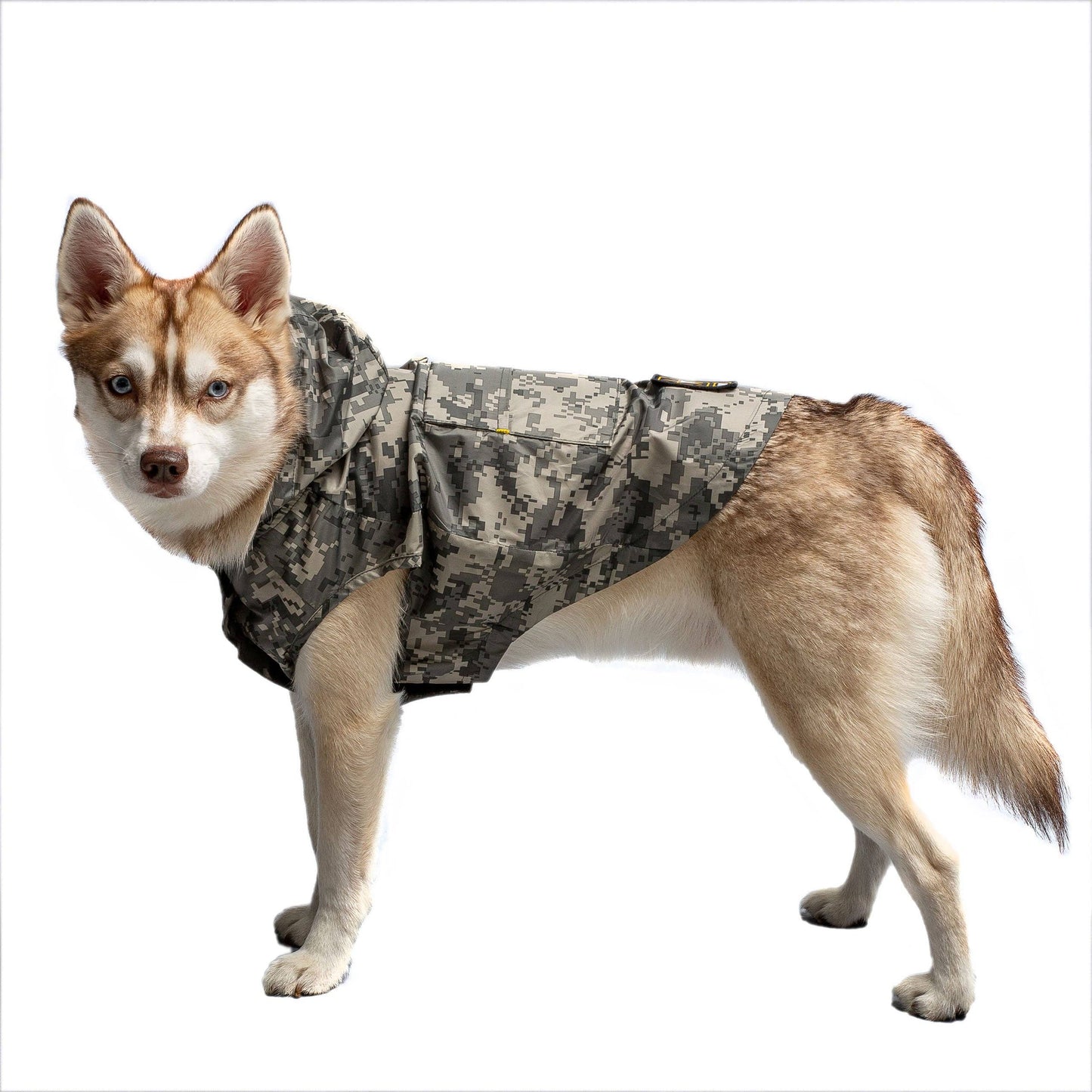 US Army Dog Raincoat - Camo