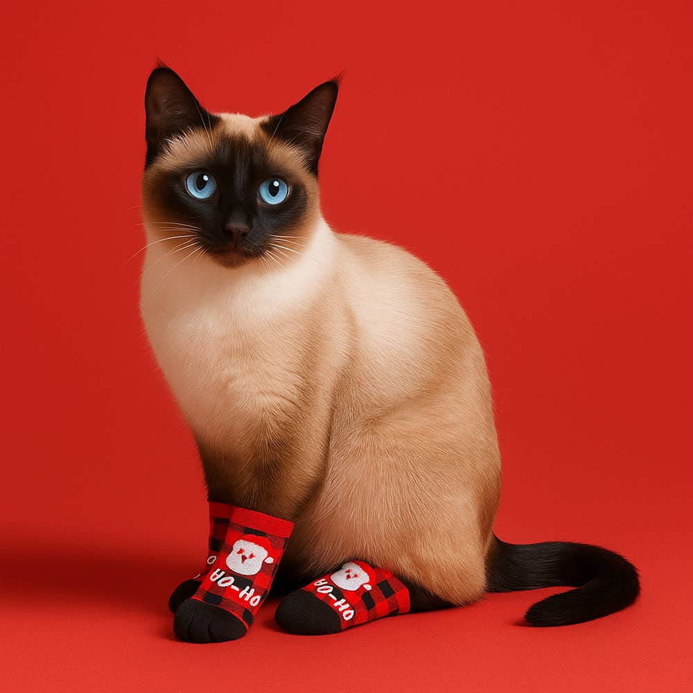 ๐
๐พ Holiday 2026 Matching Pet And Owner Fun Socks - Santa