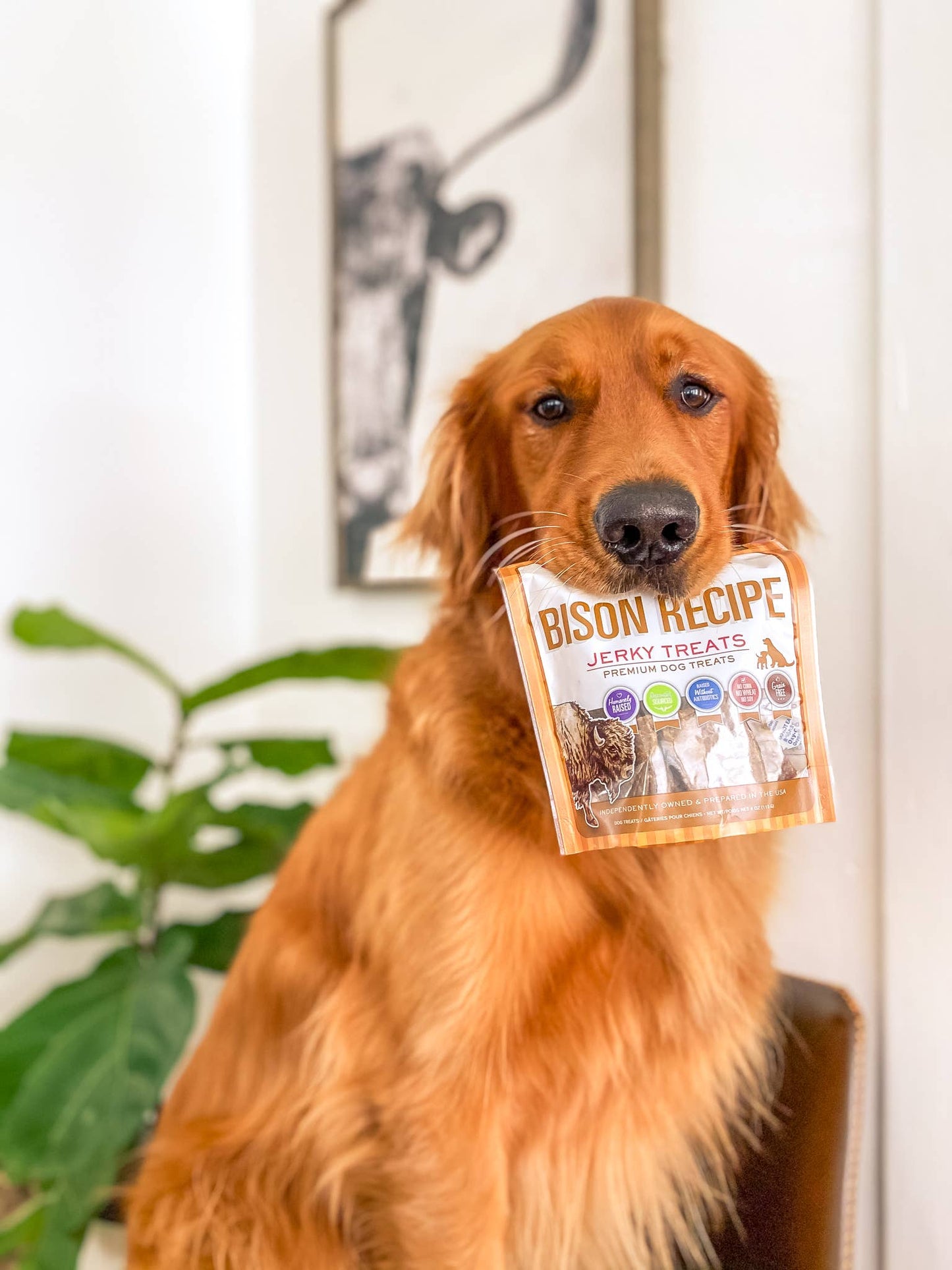 Bison Recipe Jerky