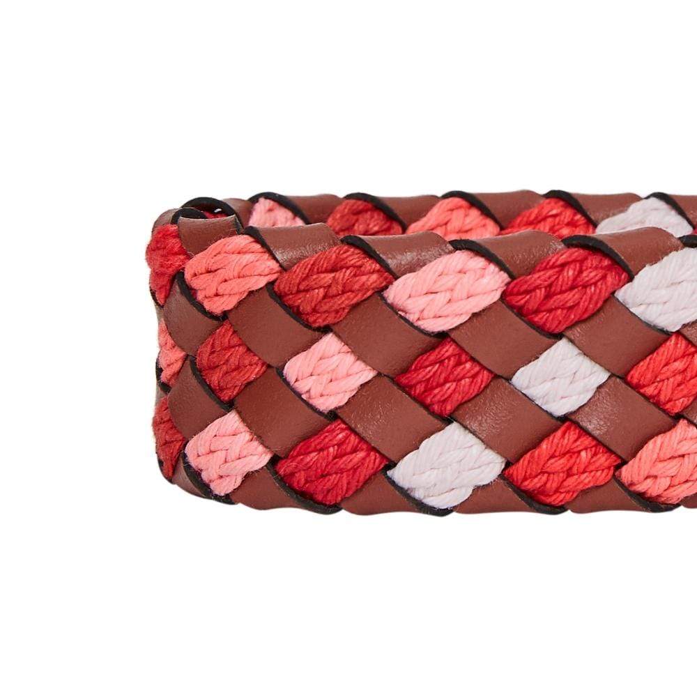 đ¨Braided Leather Dog Collar
