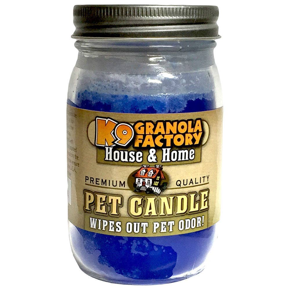 Blueberry Yogurt Pet Odor Eliminator Candle, 16-oz