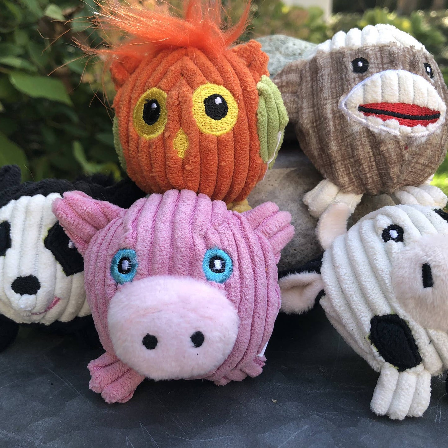 Wee Huggles® Balls Dog Toys