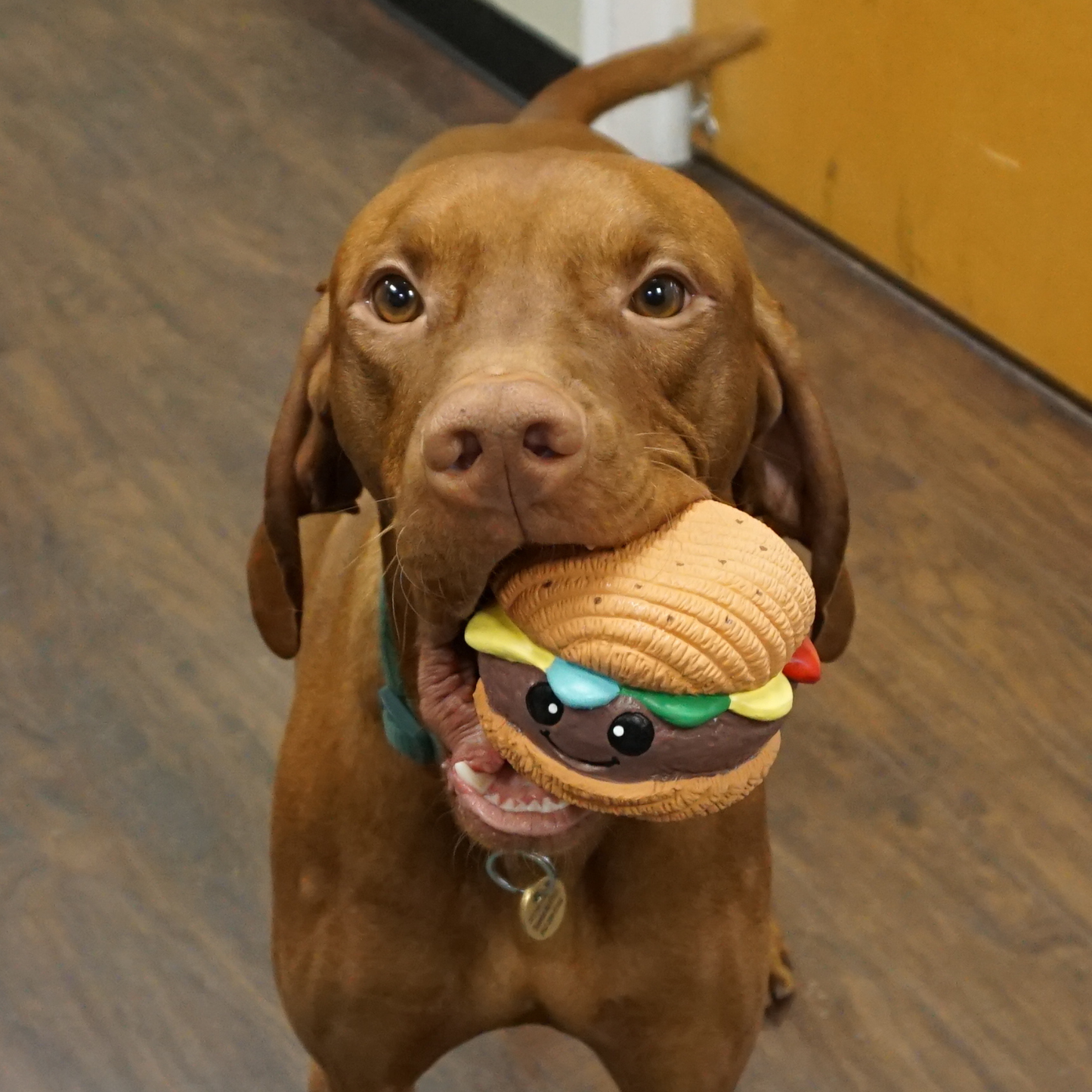 🍔🐶 Ruff-Tex® Big Buns Foodies – Hamburger Balls