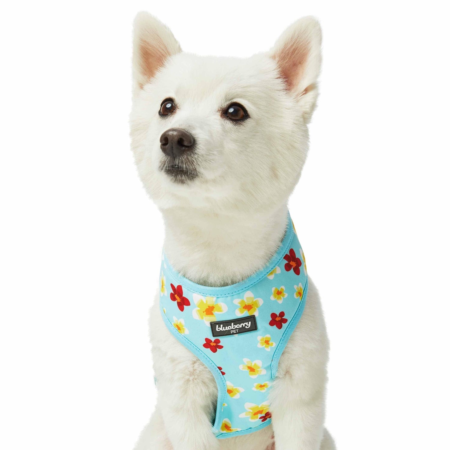 2 Colors, Tropical Yellow Plumeria Flower Dog Harness Vest