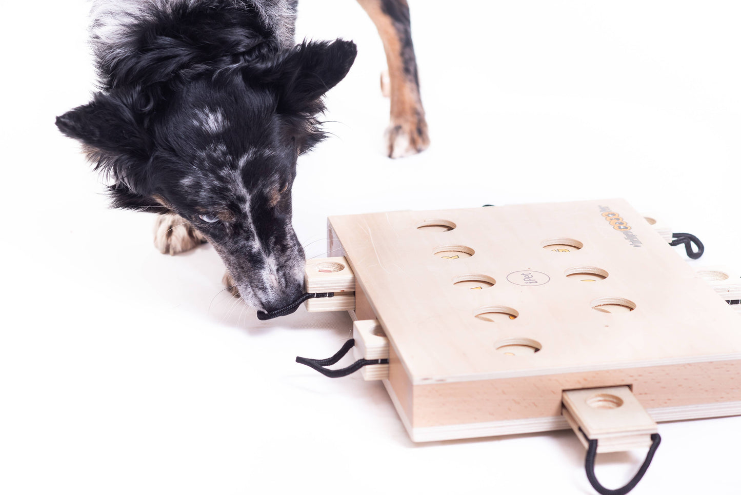 IPet - Smart Dog Toy