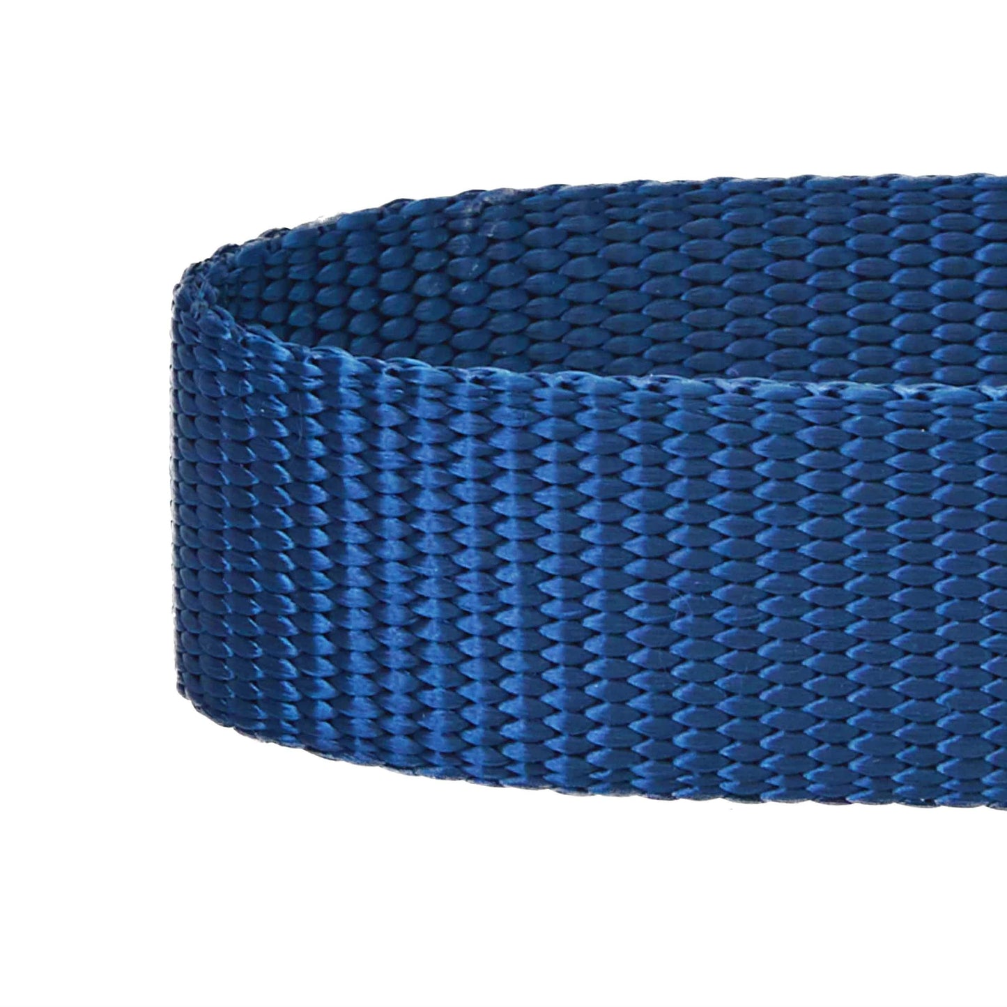 🐾🔒Classic Martingale Dog Collar