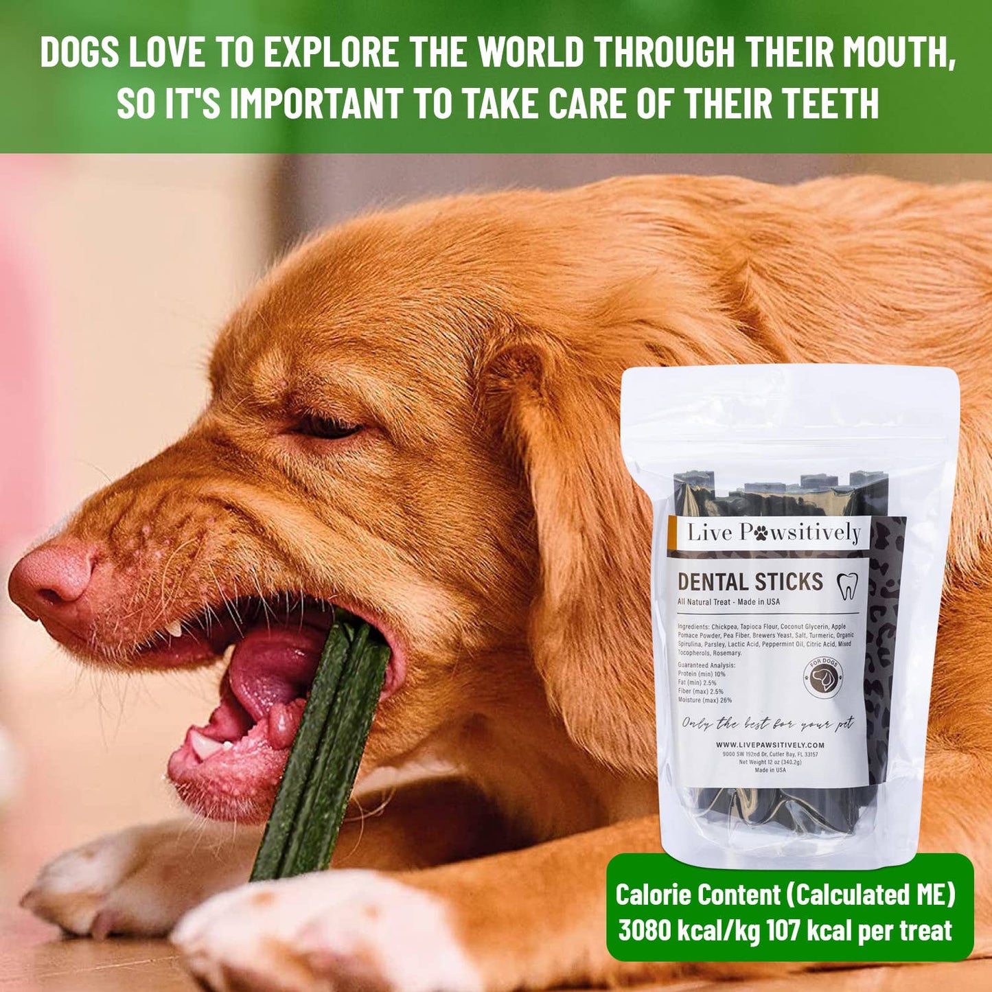 Dental Chews (Dogs & Puppies)