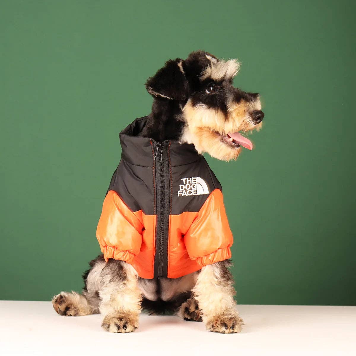 ❄️🐾 DOGFACE Warm Windproof Reflective Coat Cozy