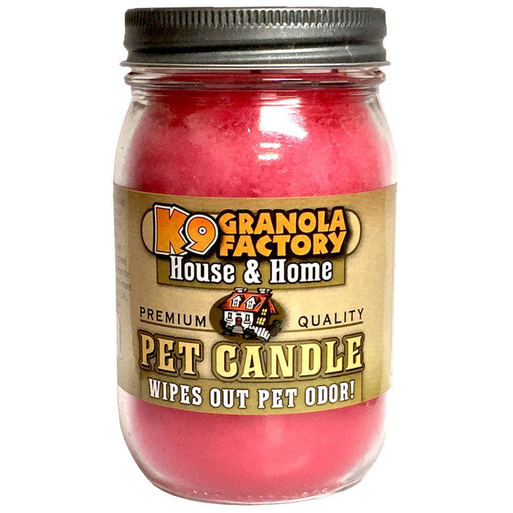 đ¸â¨ Angels In The Air â Pet Odor Eliminator Candle