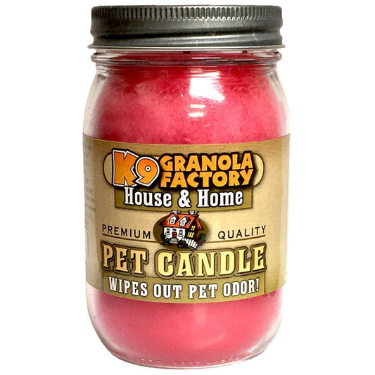 Angels In The Air Pet Odor Eliminator Candle, 16-oz