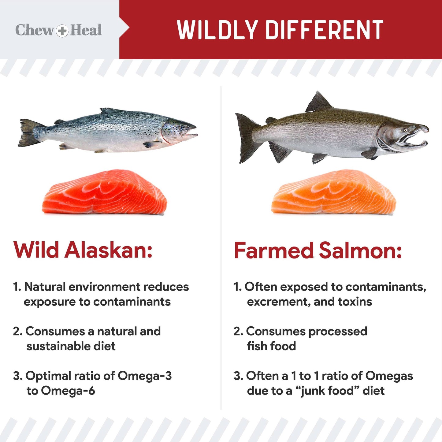 đđ„© Wild Alaskan Salmon Oil