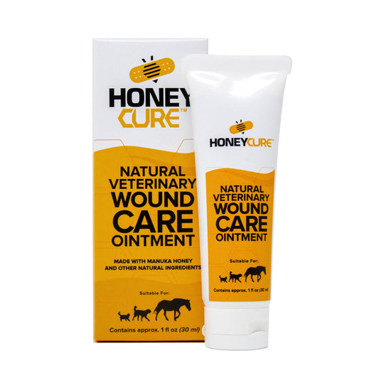 HoneyCure Ointment - Tube
