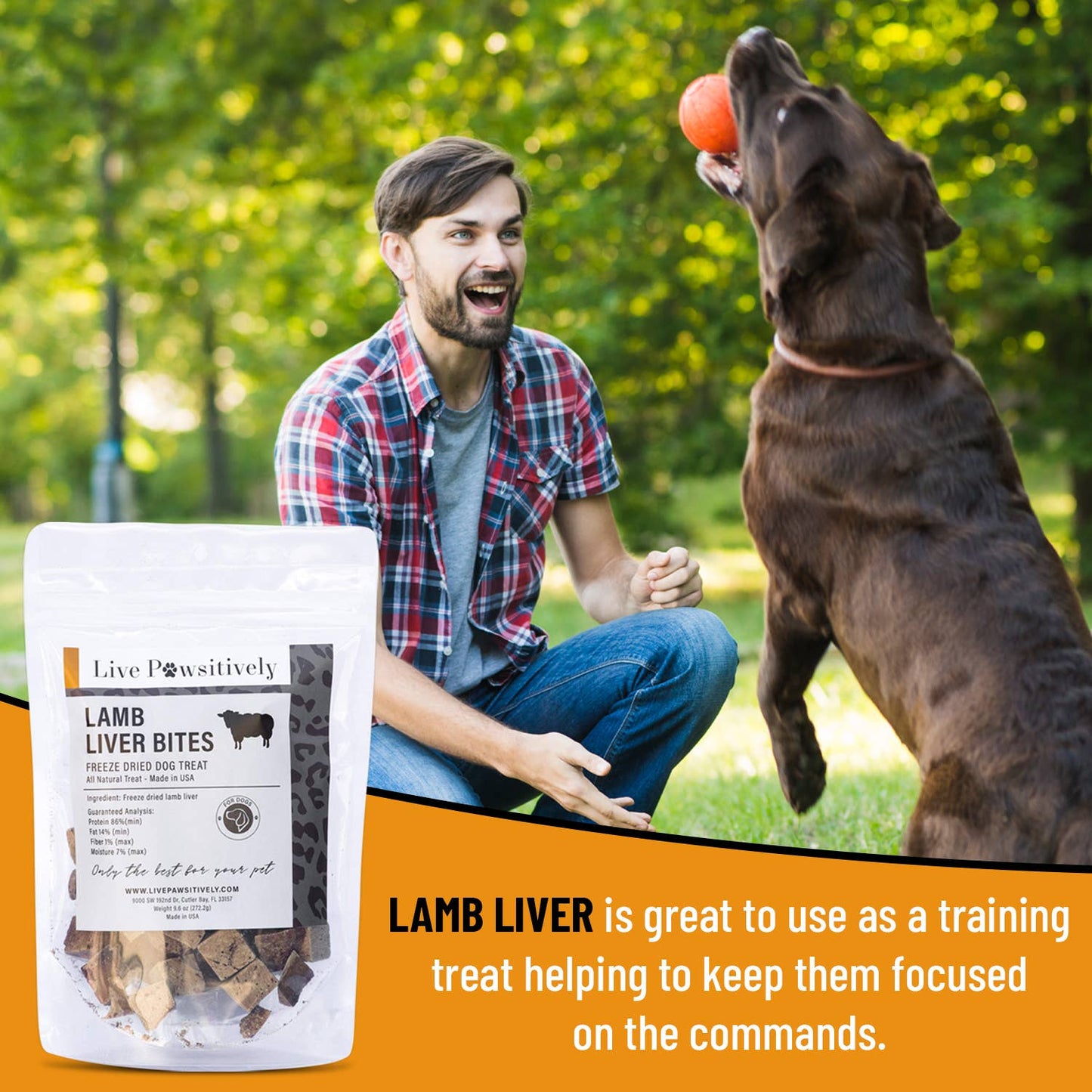 Lamb Liver Bites