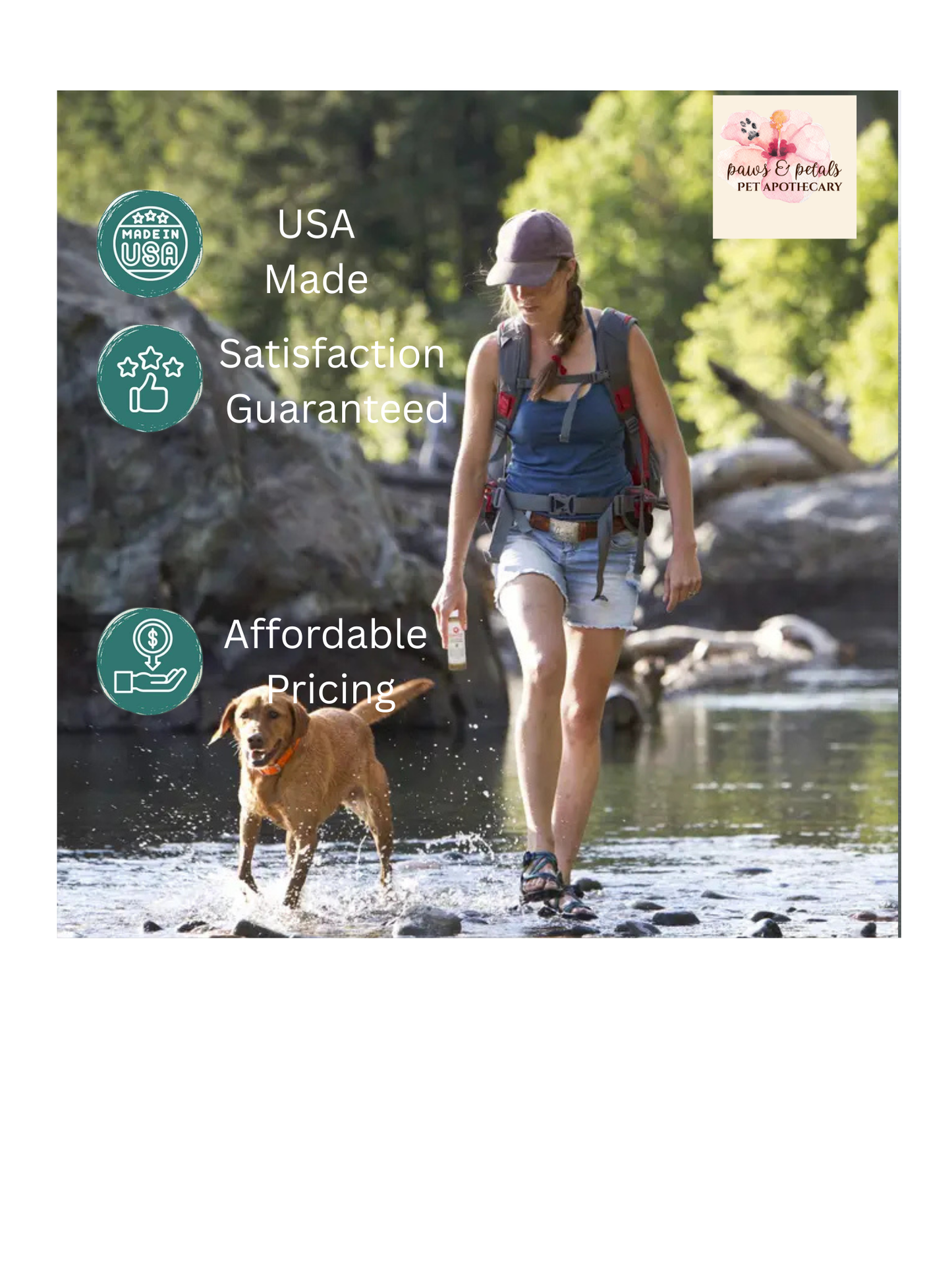 🦪🐾 Green-Lipped Mussel (GLM) Powder for Dogs – Joint Support Superfood
