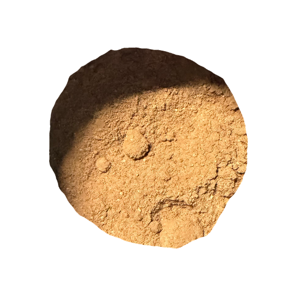 🌿Moon Goddess Cacao Elixir