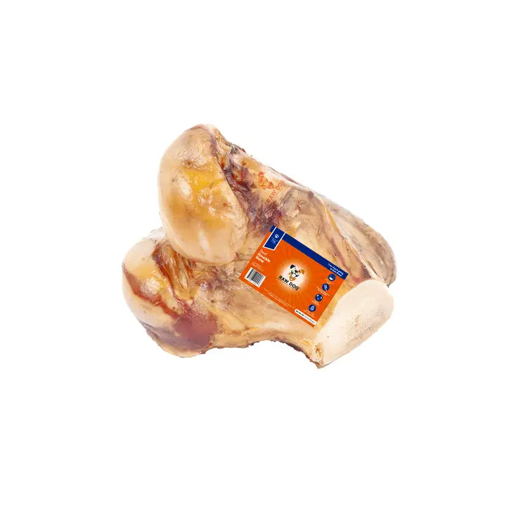 🦴🥩 Beef Knuckle Bone – Natural Single-Ingredient Dog Chew