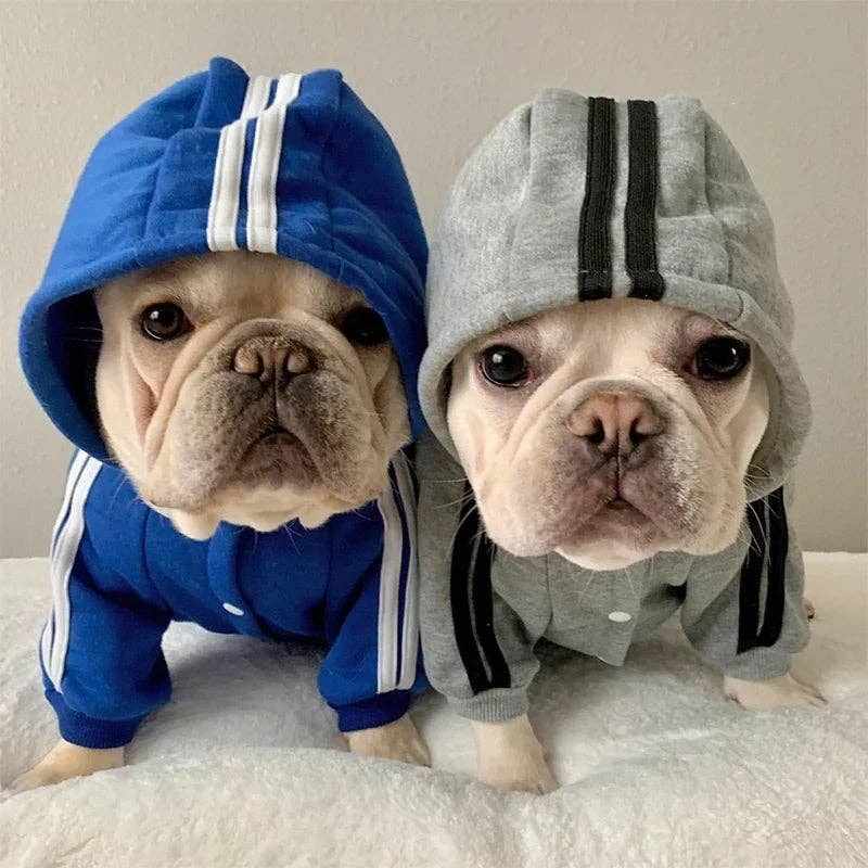 Puppy Products
