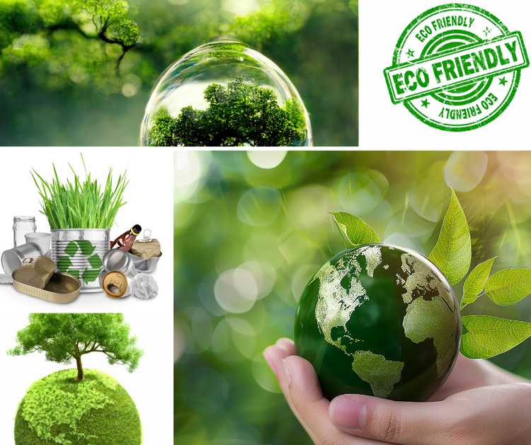 Eco-Friendly & Sustainable Products