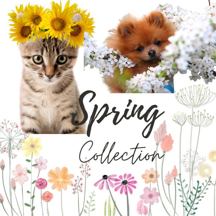 Spring Collection